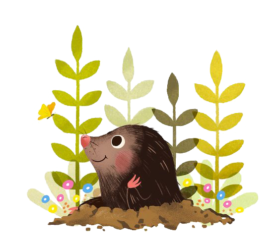 Mole: free English lesson about the Little Mole